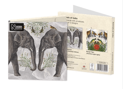 Natural History Museum Animals of India Notecard Wallet &amp; Envelopes