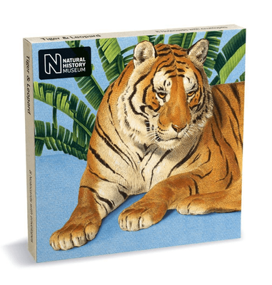 Museums &amp; Galleries Tiger &amp; Leopard 8 Pkt Blank Notecards &amp; Envelopes