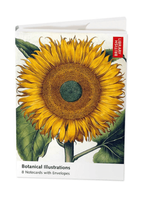 Museums &amp; Galleries Botanical Illustrations 8 Pkt Folio Notecards