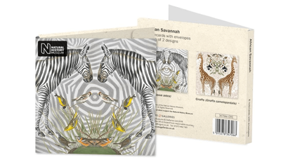 Museums &amp; Galleries African Savannah Pack OF 8 Notecards &amp; Envelopes