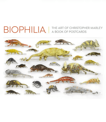 Pomegranate Biophilia: Art of Christopher Marley Book of 30 Different Postcards