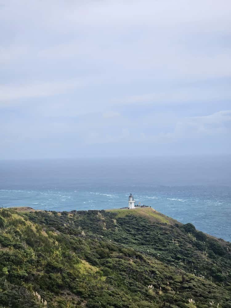 Cape Reinga lighthouse overlooking the ocean at the tip of Aotearoa — symbolising guidance, courage, and collective healing in Aotearoa.