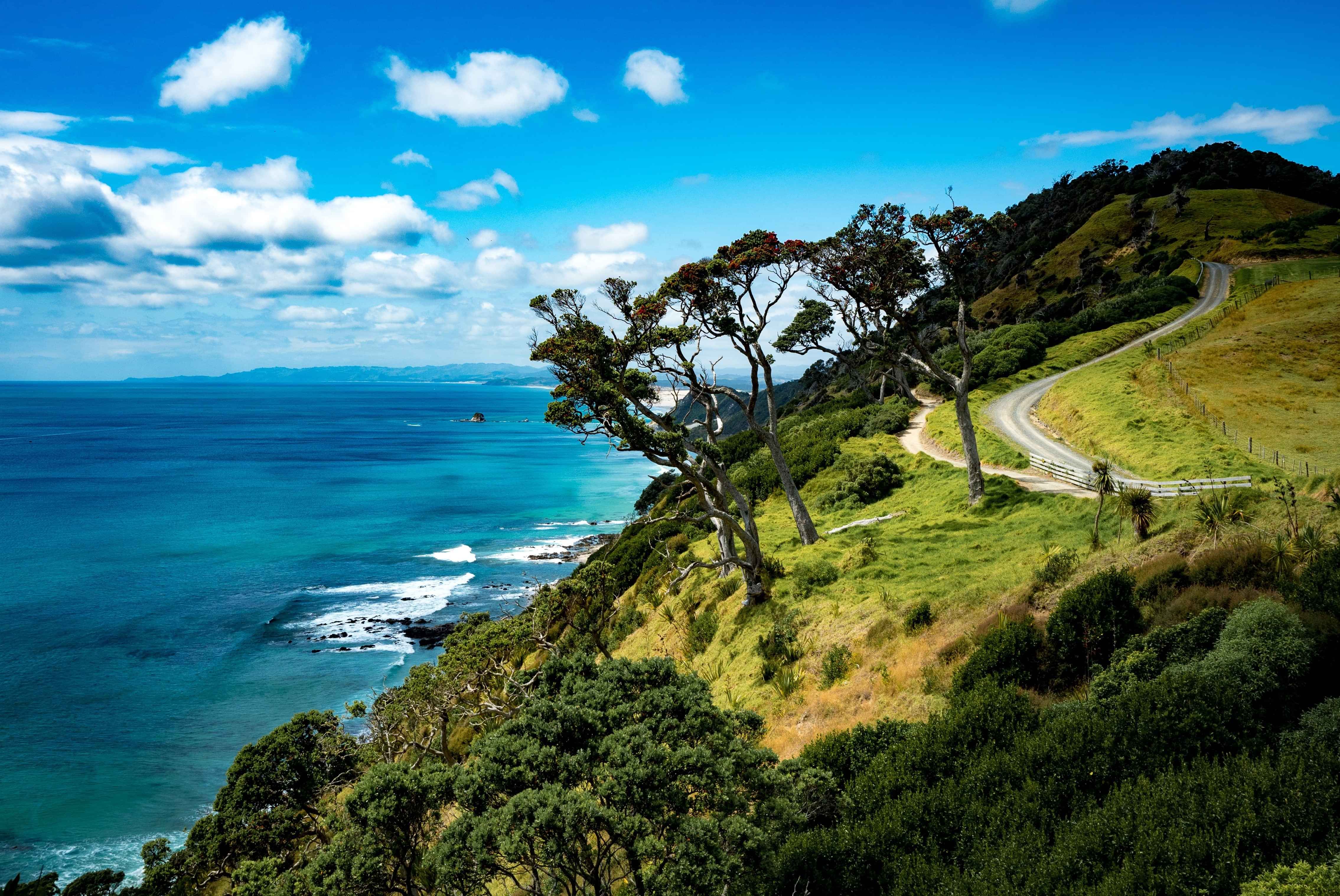 Things to do in Mangawhai - Beaches & Walks the Coastal track