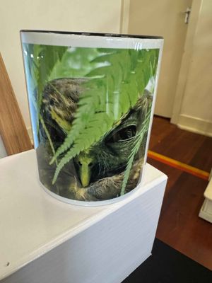 A Mug with photographed