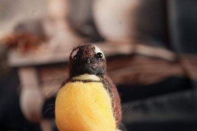 Felted Tui