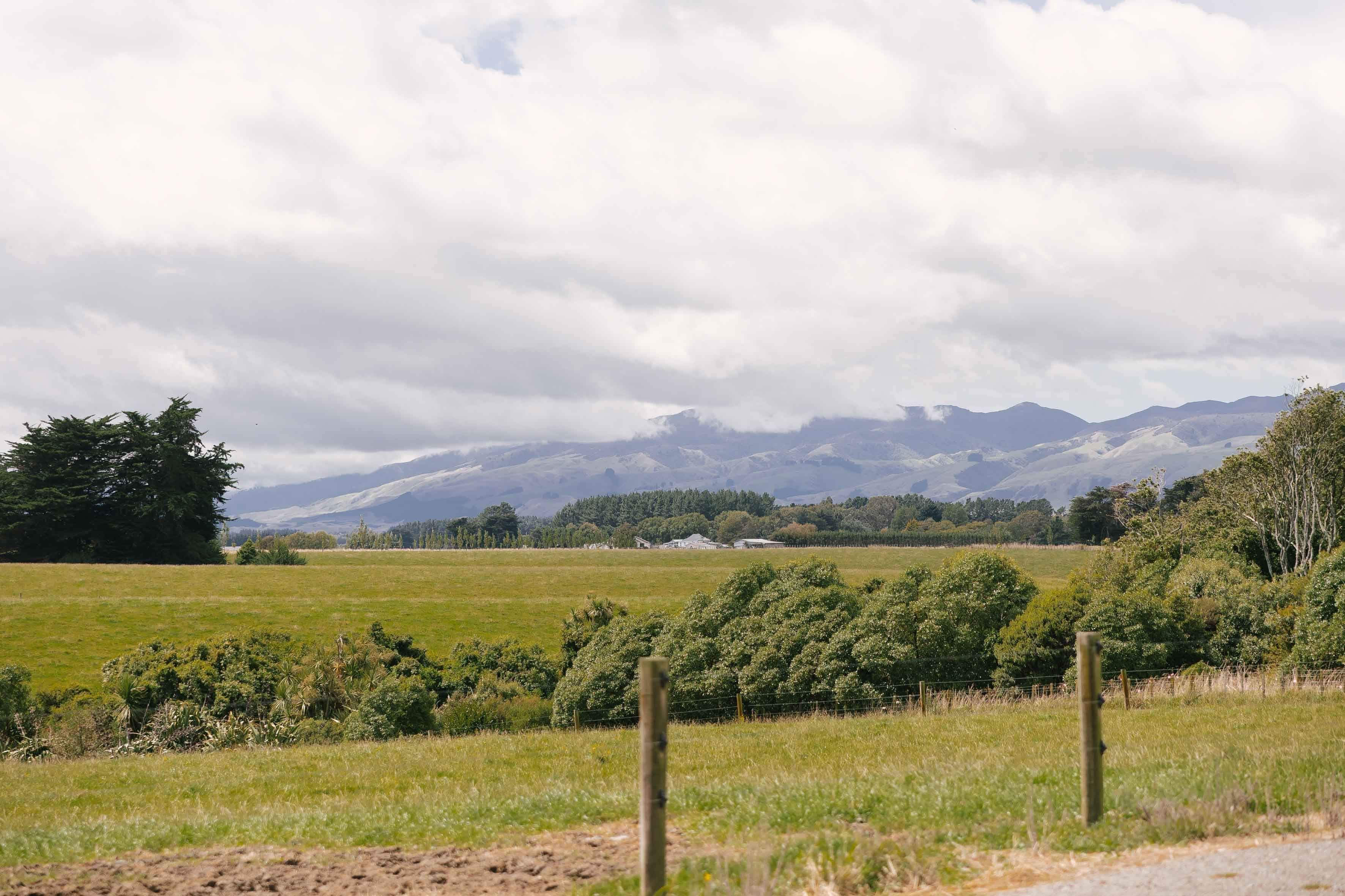 New Zealand dairy farm