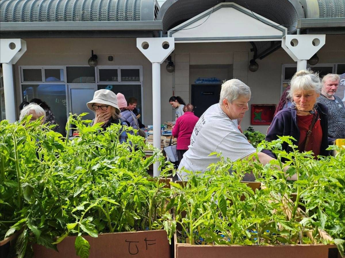 People buying tomato plants at the Spring Market 