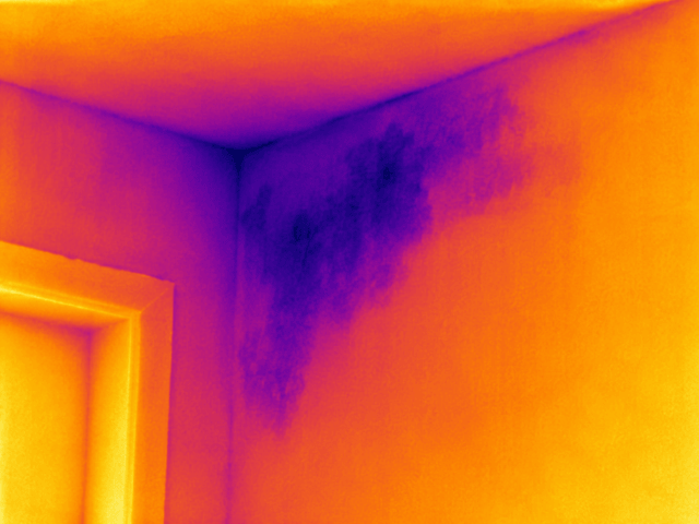 A thermal image of a water leak on a wall