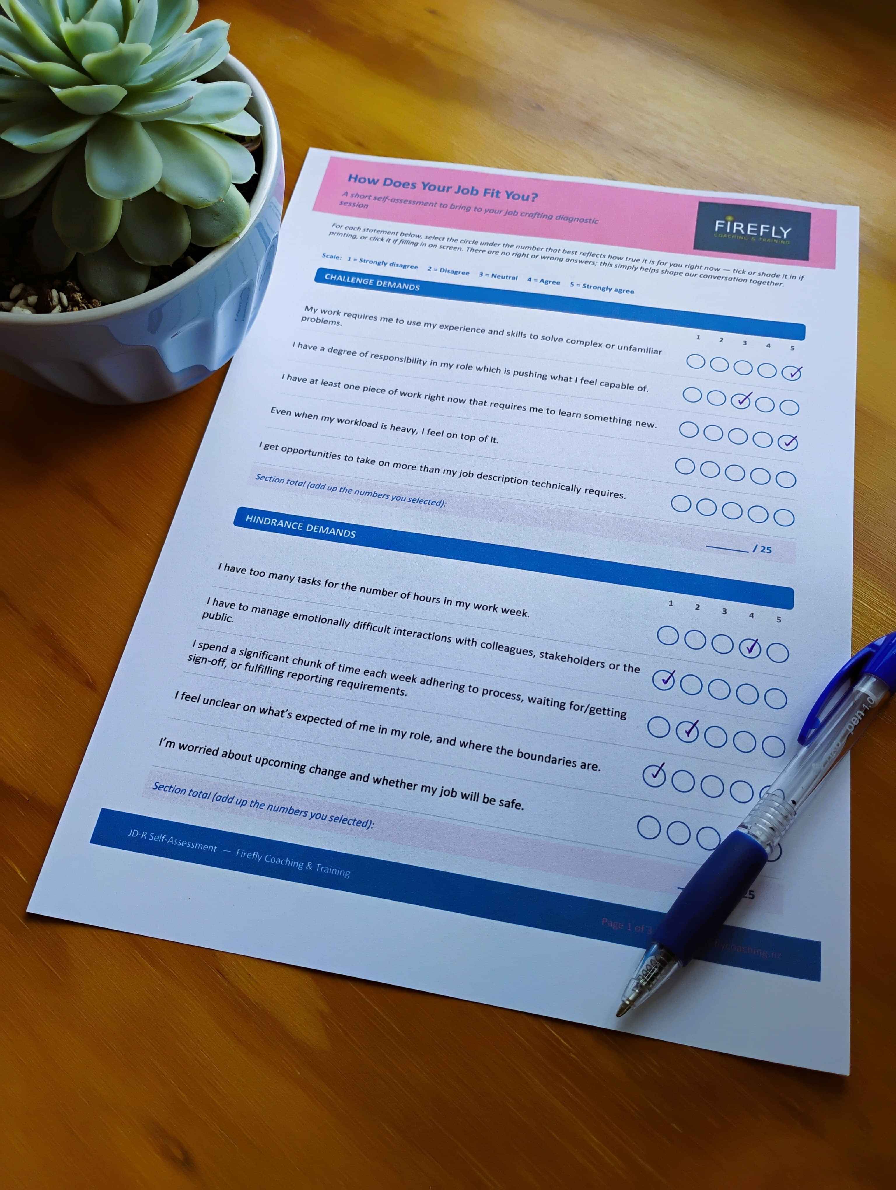 Filled-in "How Does Your Job Fit You?" job audit questionnaire from Firefly Coaching, on a desk with a pen and succulent.