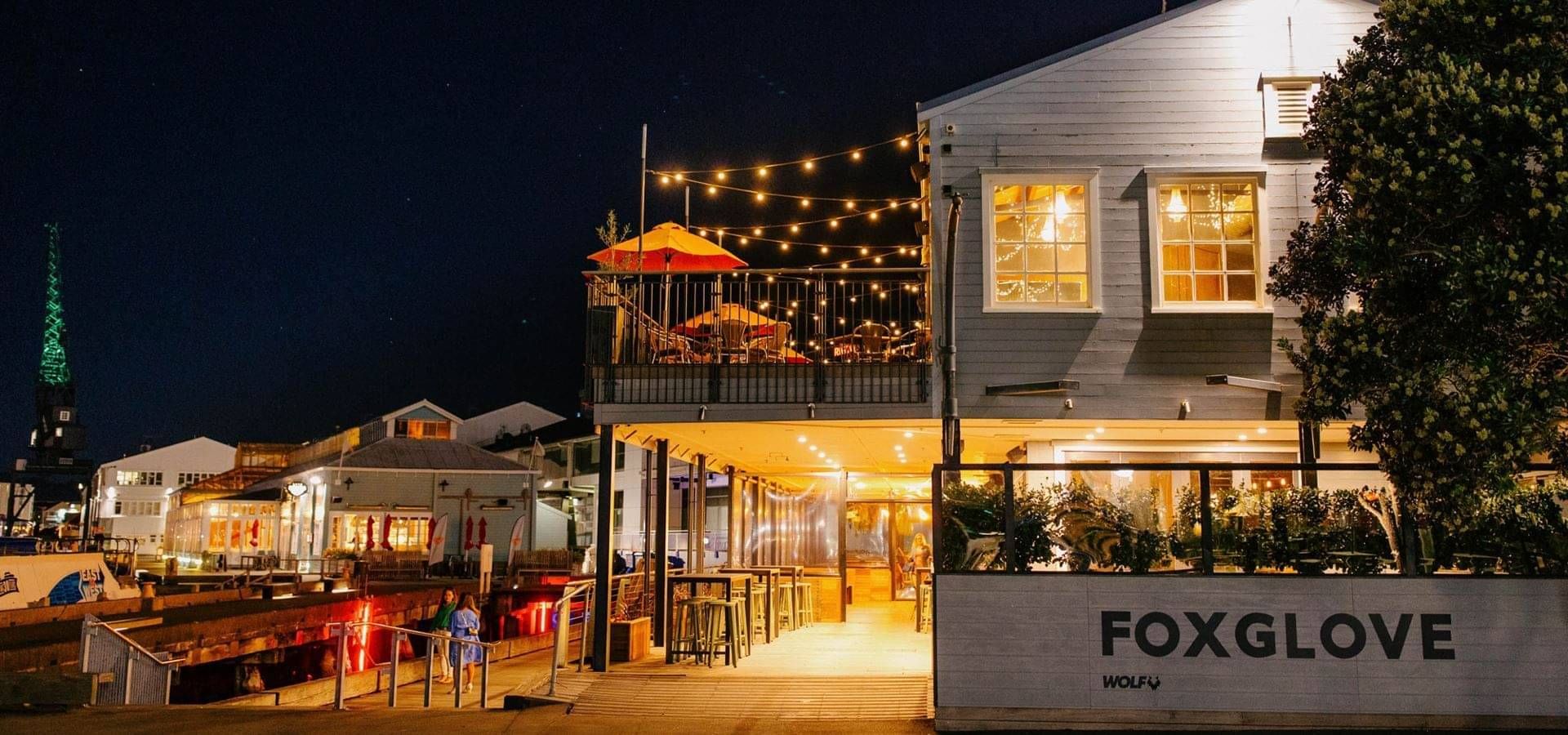 Foxglove Bar at night