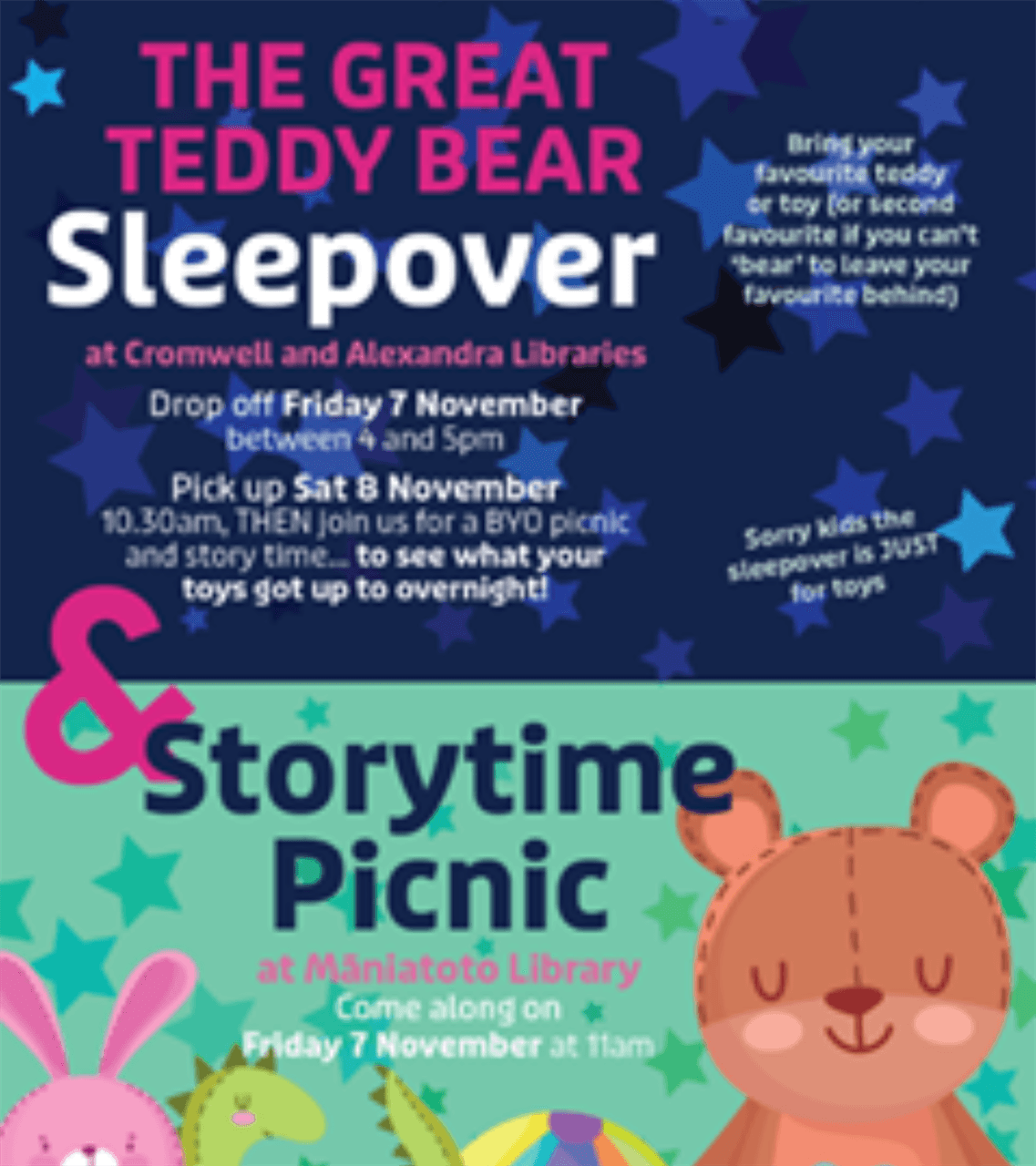 Central Otago Teddy Bear Sleepover