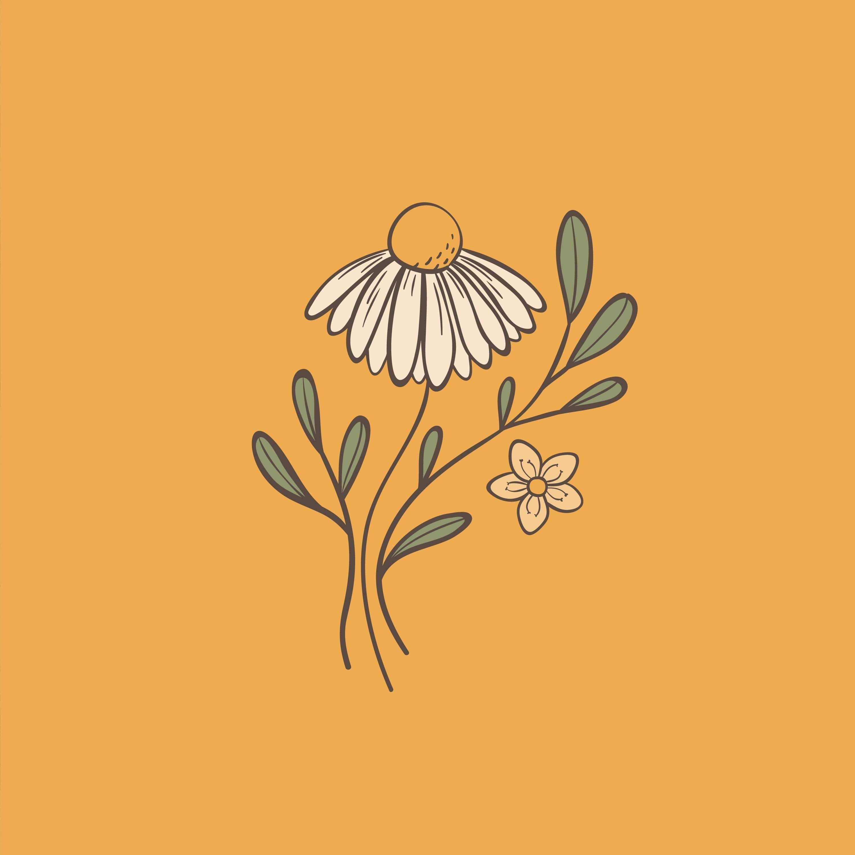 Image of Sage Intuition's logo. Designed by Creative Box. Waikato, New Zealand. 