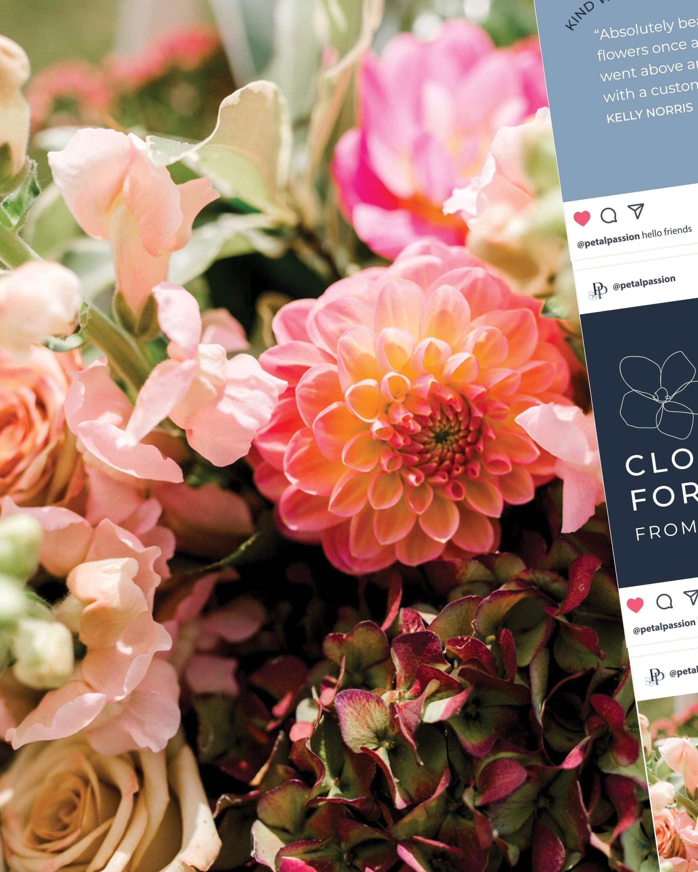  Image of Petal Passions brand refresh. Creative Box Waikato New Zealand Graphic Designer.