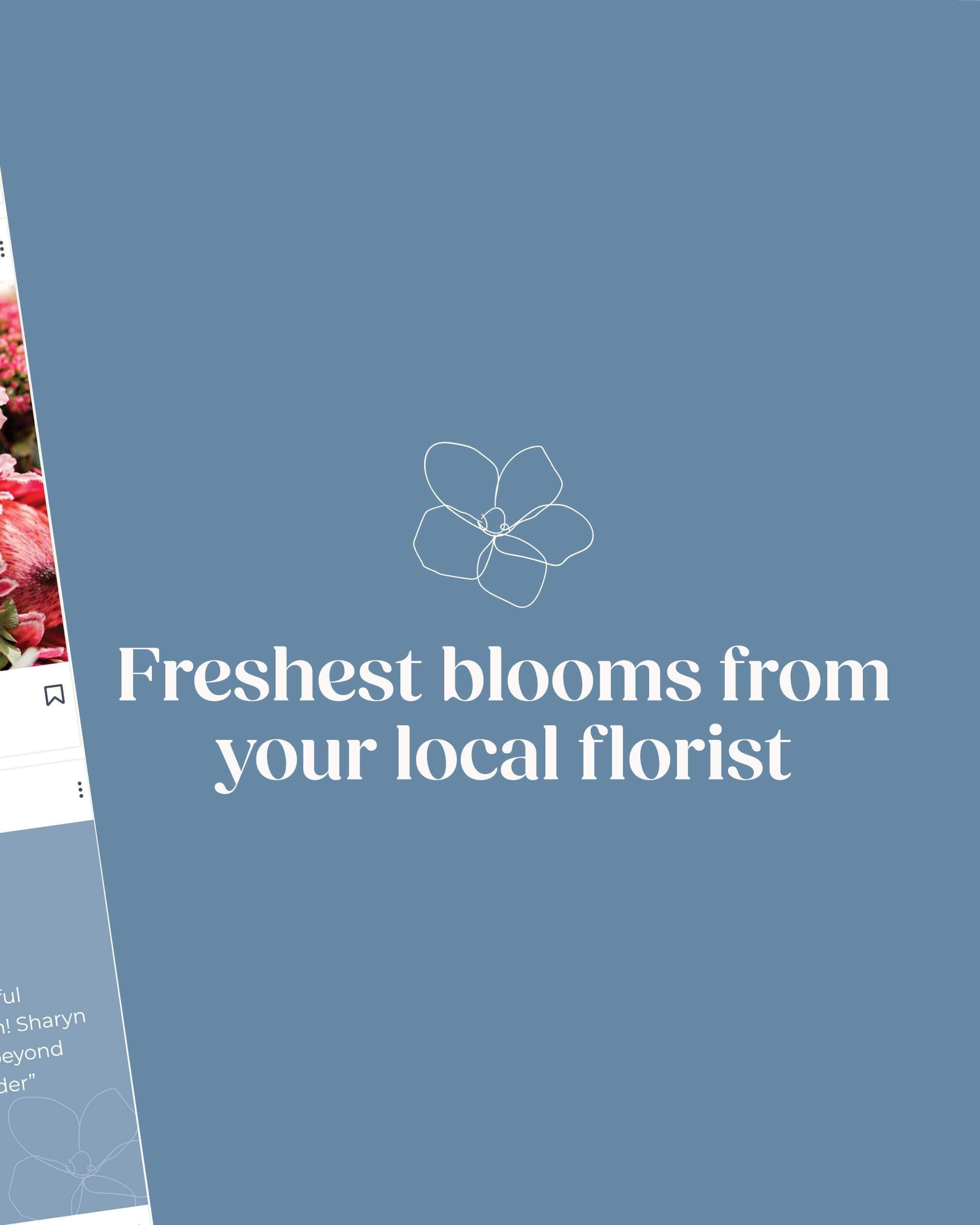  Petal Passion rebrand. Creative Box Te Awamutu, Waikato