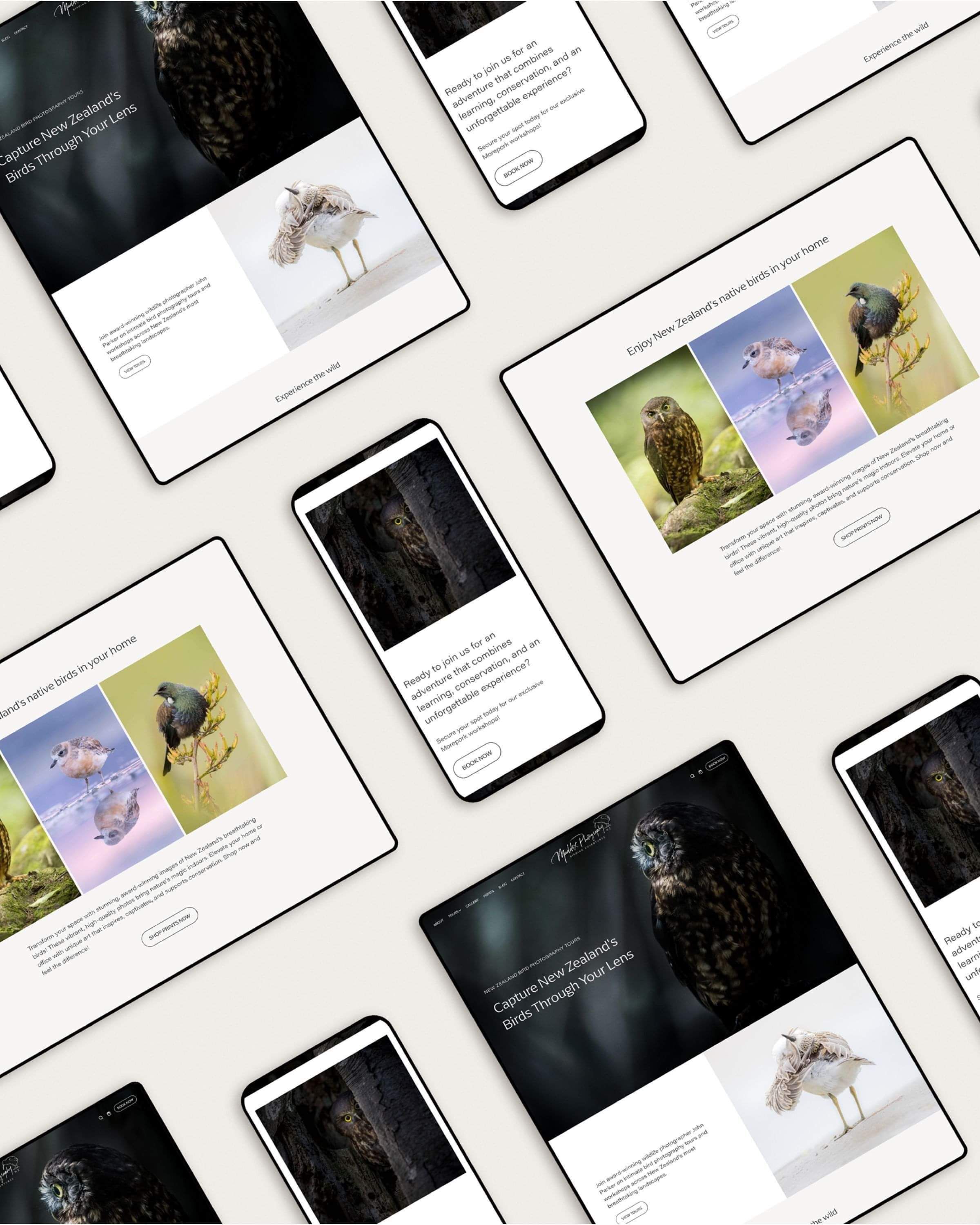 Image of Maddox Photography's modern website design featuring NZ native bird photography tours. By Creative Box. Waikato, New Zealand.