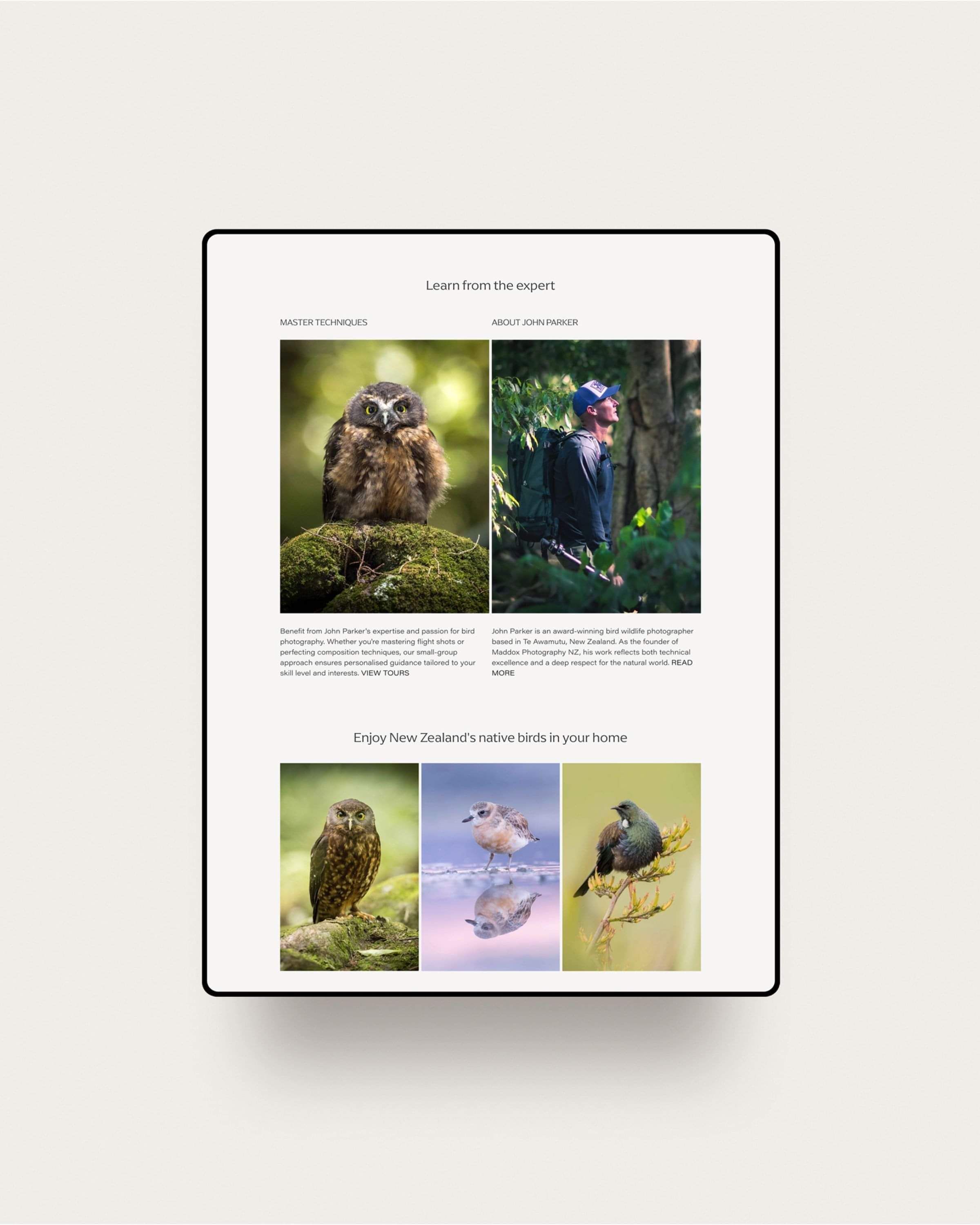 Image of Maddox Photography's modern website design featuring NZ native bird photography tours. By Creative Box. Waikato, New Zealand.