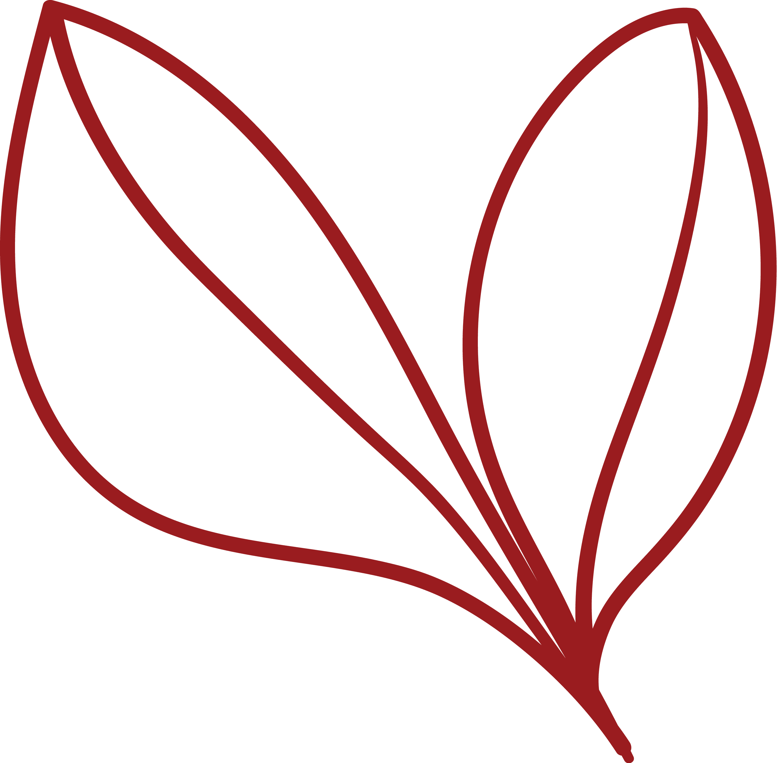 Image of hand drawn red leaves. Drawn by Creative Box. Waikato, New Zealand.