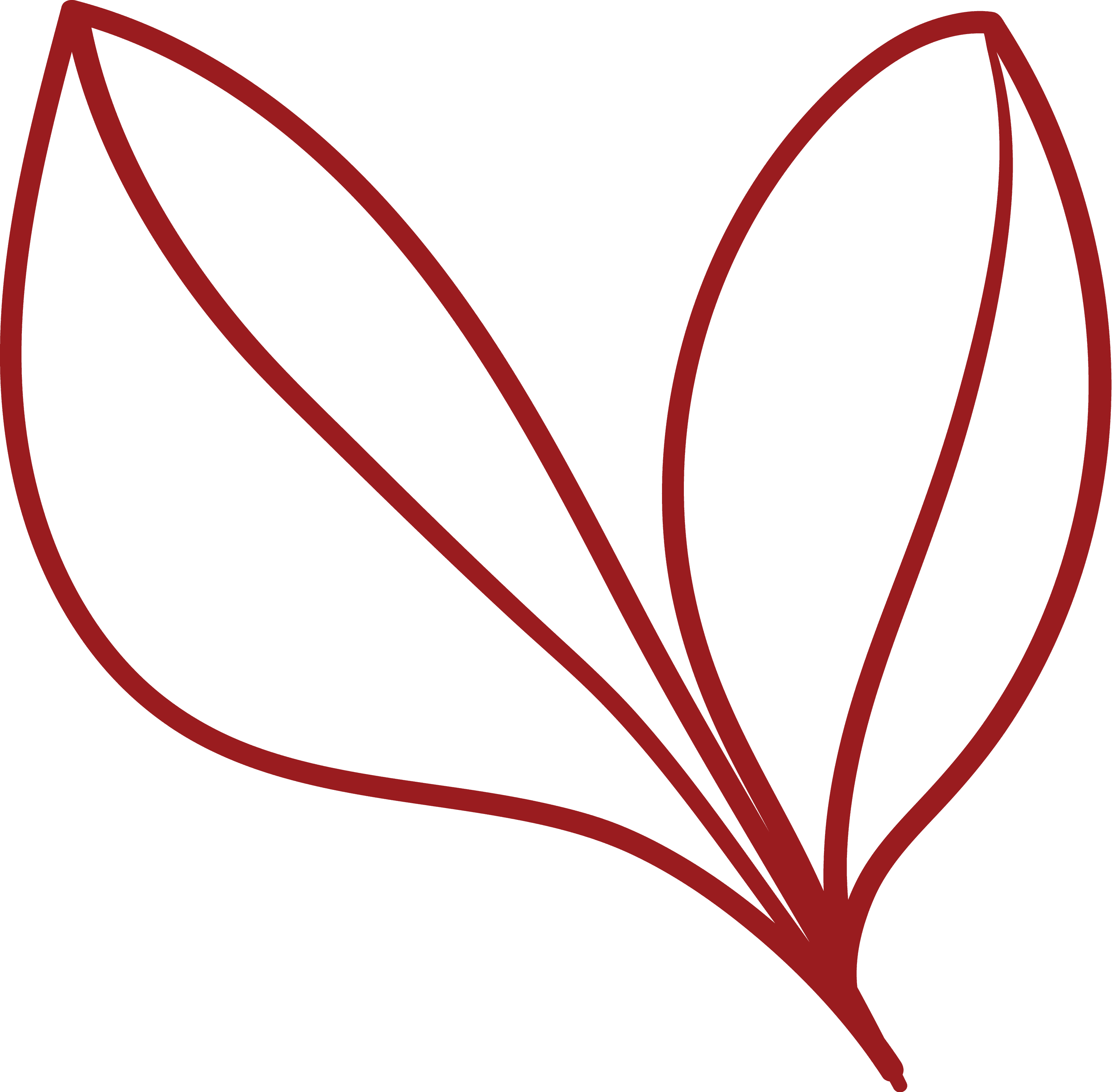 Image of hand drawn red leaves. Drawn by Creative Box. Waikato, New Zealand.