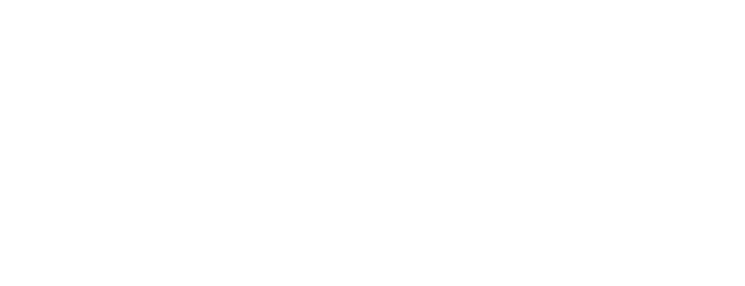 Air  Chathams Logo