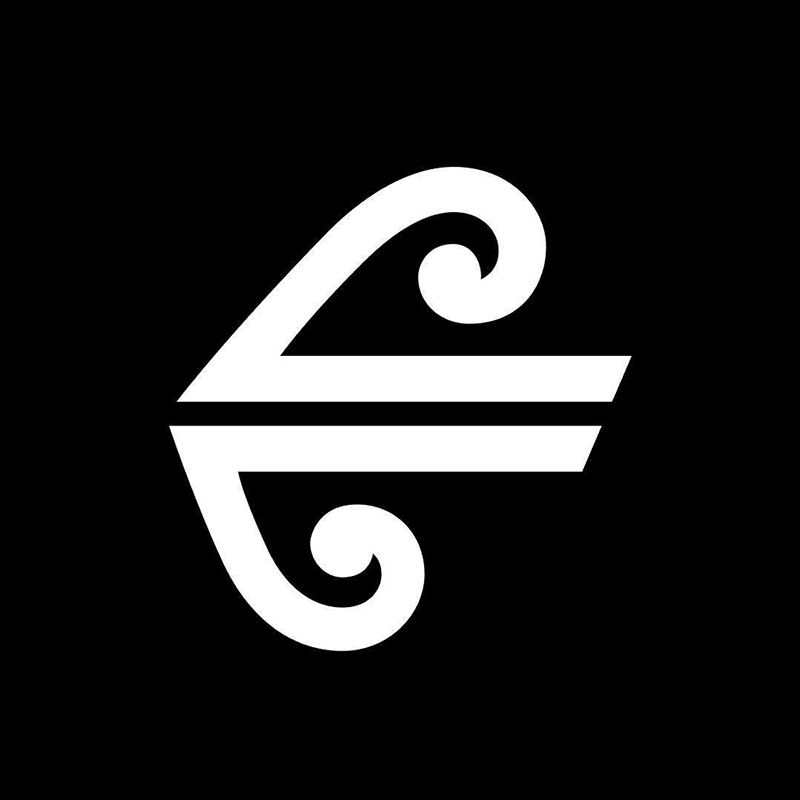 Air  New Zealand Icon