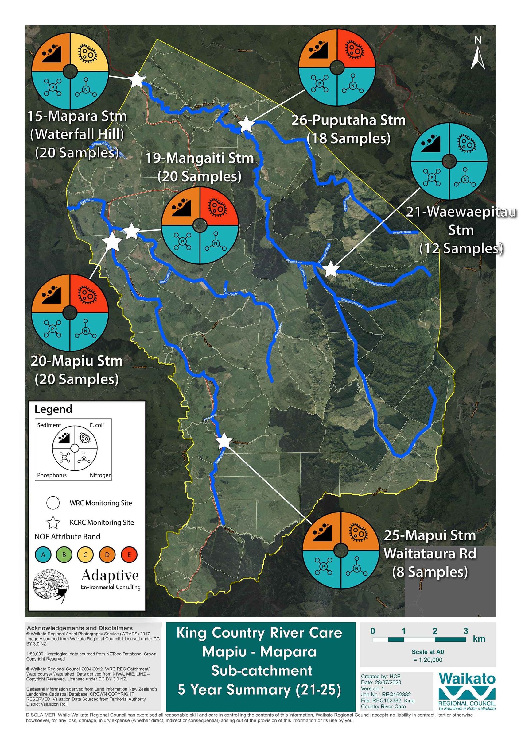 Mapiu - Mapara | King Country River Care