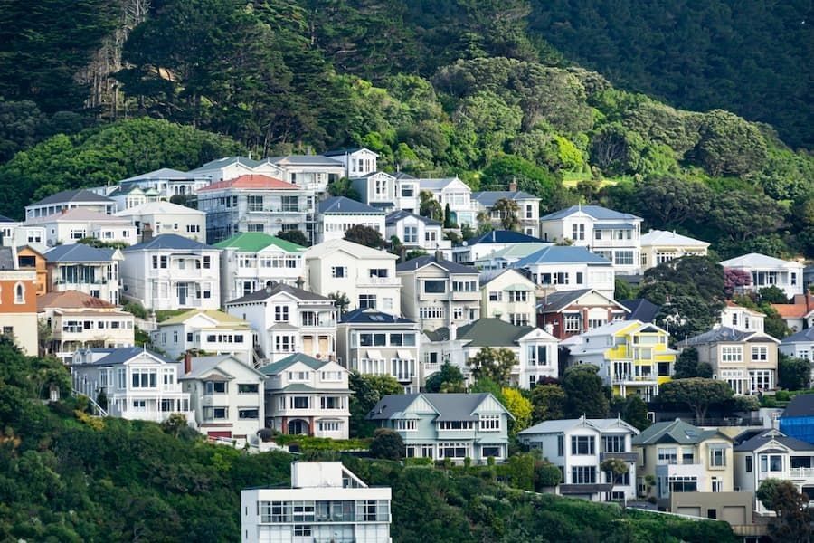 Traditional mid-century and earlier hillside homes make a residential pattern on city hillside in Wellington New Zealand. 