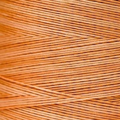 Weeks Dye Works Daylily #2227 Orange
