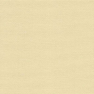 18 Count AIDA - Beige