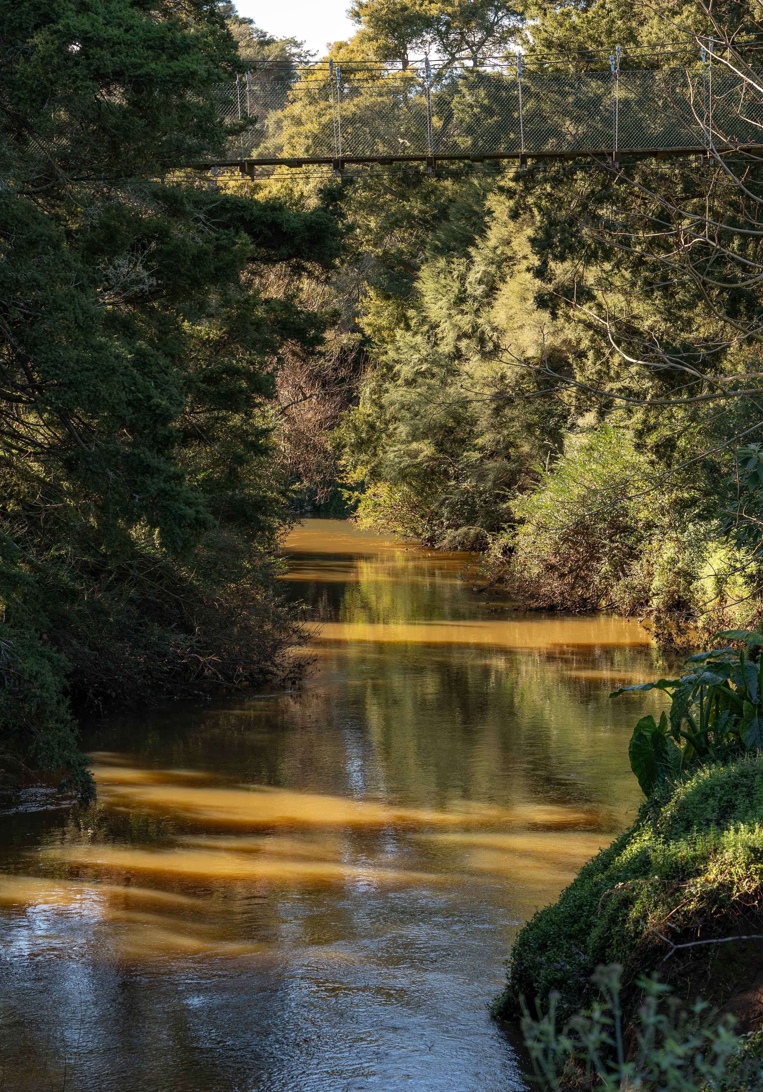 Nature and river walks are great for the family in Morrinsville.