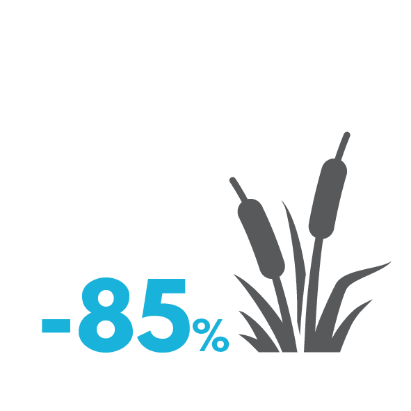 There was an 85% global wetland ecosystems loss in extent over the past 300 years