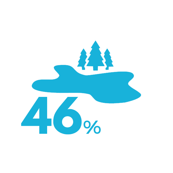 46% of the lakes in New Zealand rate poo or very poor in terms of nutrient enrichment