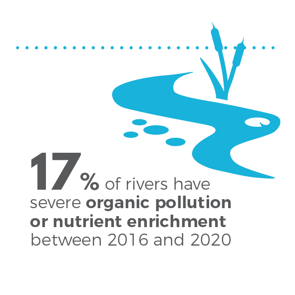 17% of rivers in NZ have severe organic pollution between 2016 and 2020