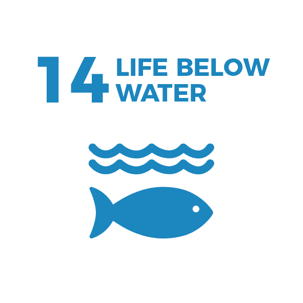 Waikato Wellbeing Project Sustainable Development Goal 14