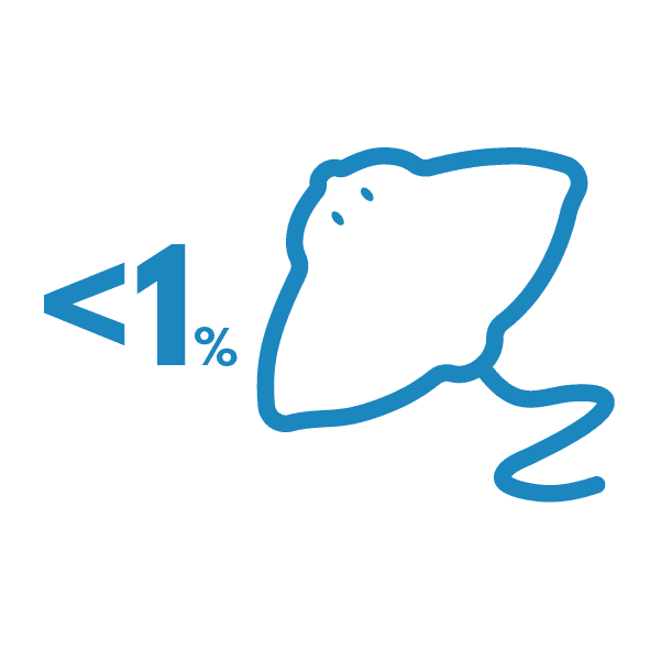 Less than 1% of the Waikato's coastal marine area is a marine reserve