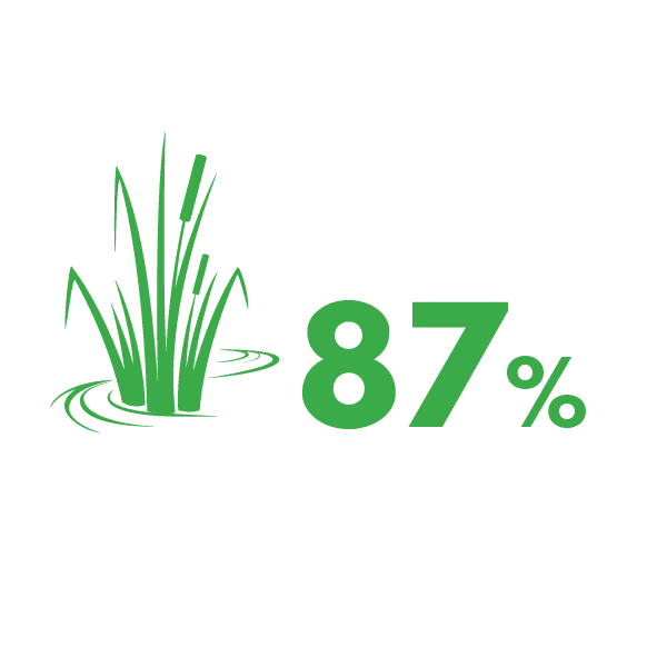 87% of the world's wetlands are estimated to have been lost between 1700 and 2000