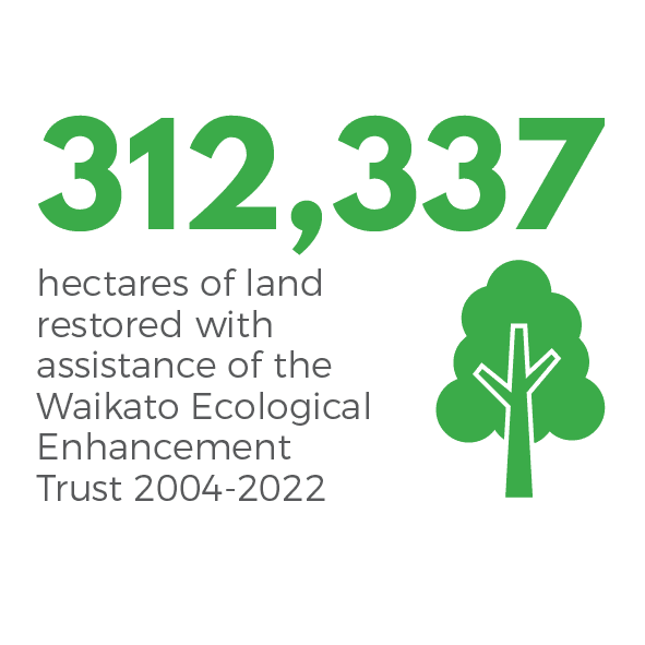 312,337ha of land restored with assistance of the Waikato Ecological Enhancement Trust