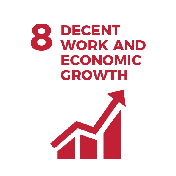 Waikato Wellbeing Project Sustainable Development Goal 8