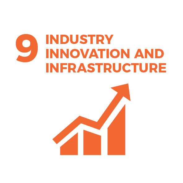 Waikato Wellbeing Project Sustainable Development Goal 9