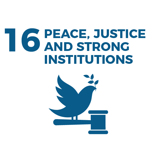 Waikato Wellbeing Project Sustainable Development Goal 16