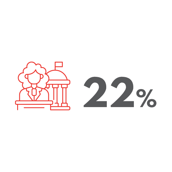 22% women in government image