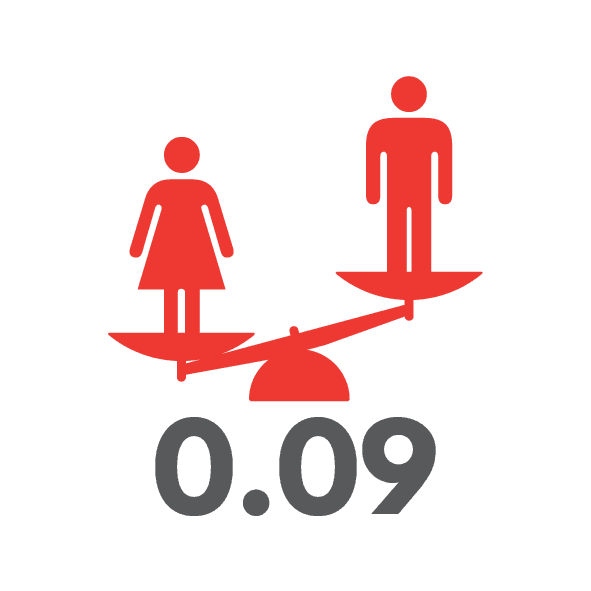 0.09 nz gender equality image