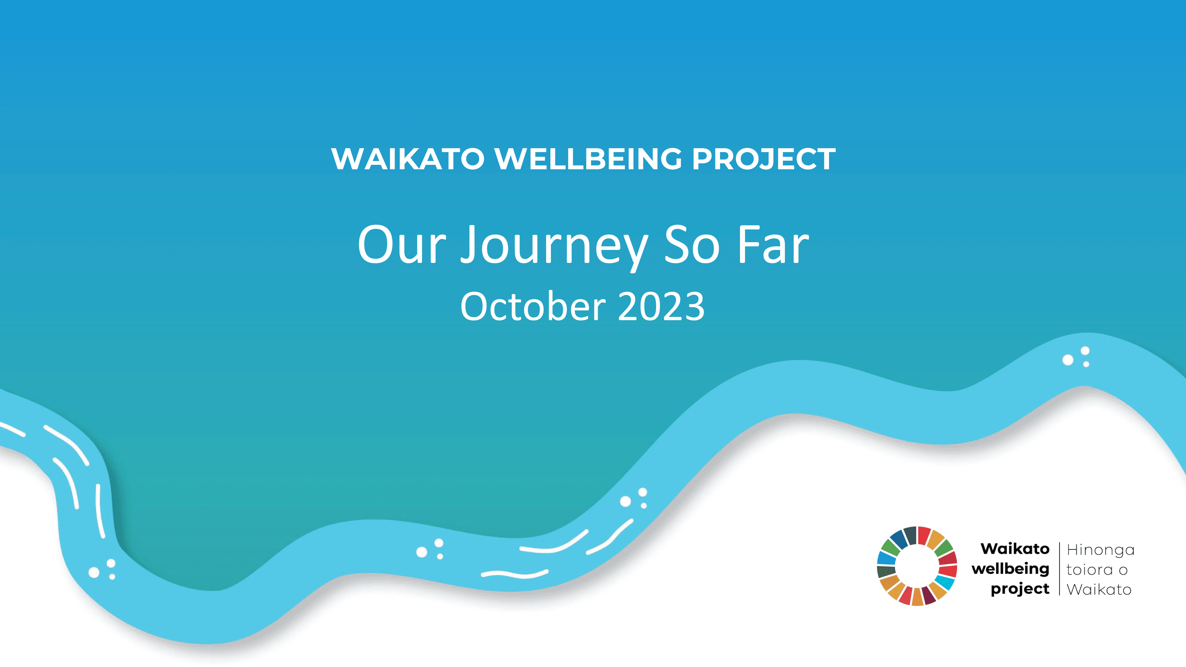 Cover image of Waikato Wellbeing Project Progress Update