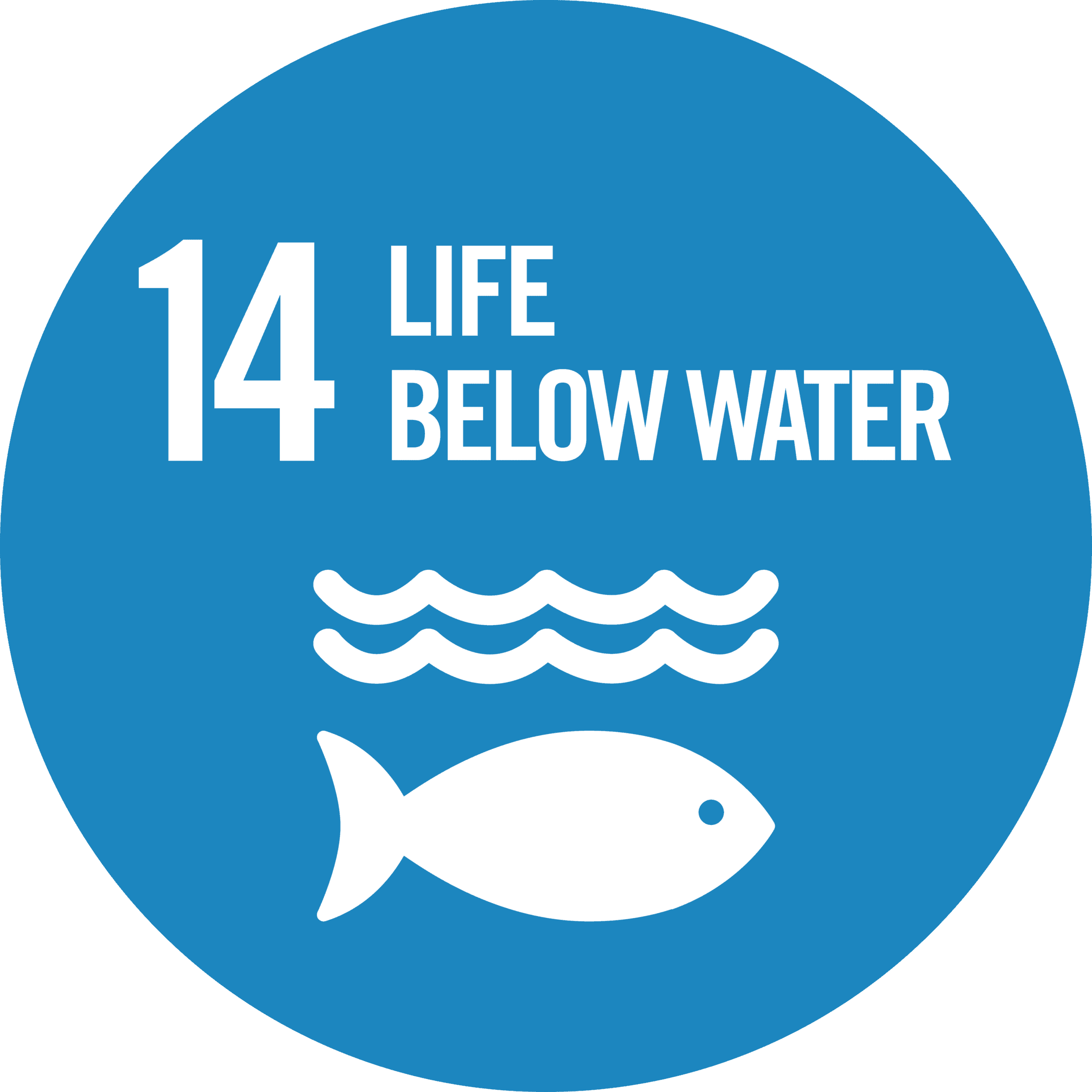 View Waikato regions summary of the regions progress against Sustainable Development Goal 14