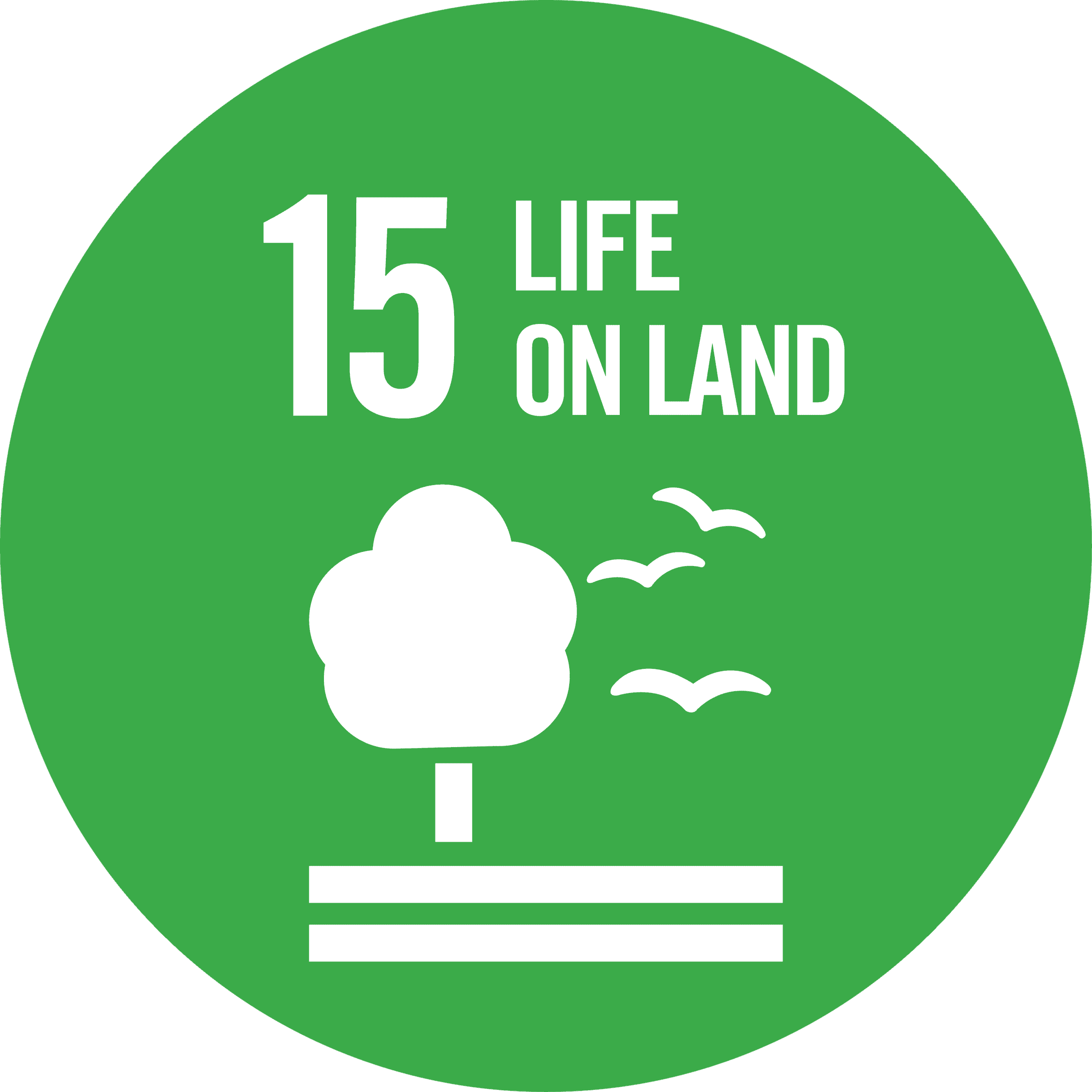 View Waikato regions summary of the regions progress against Sustainable Development Goal 15