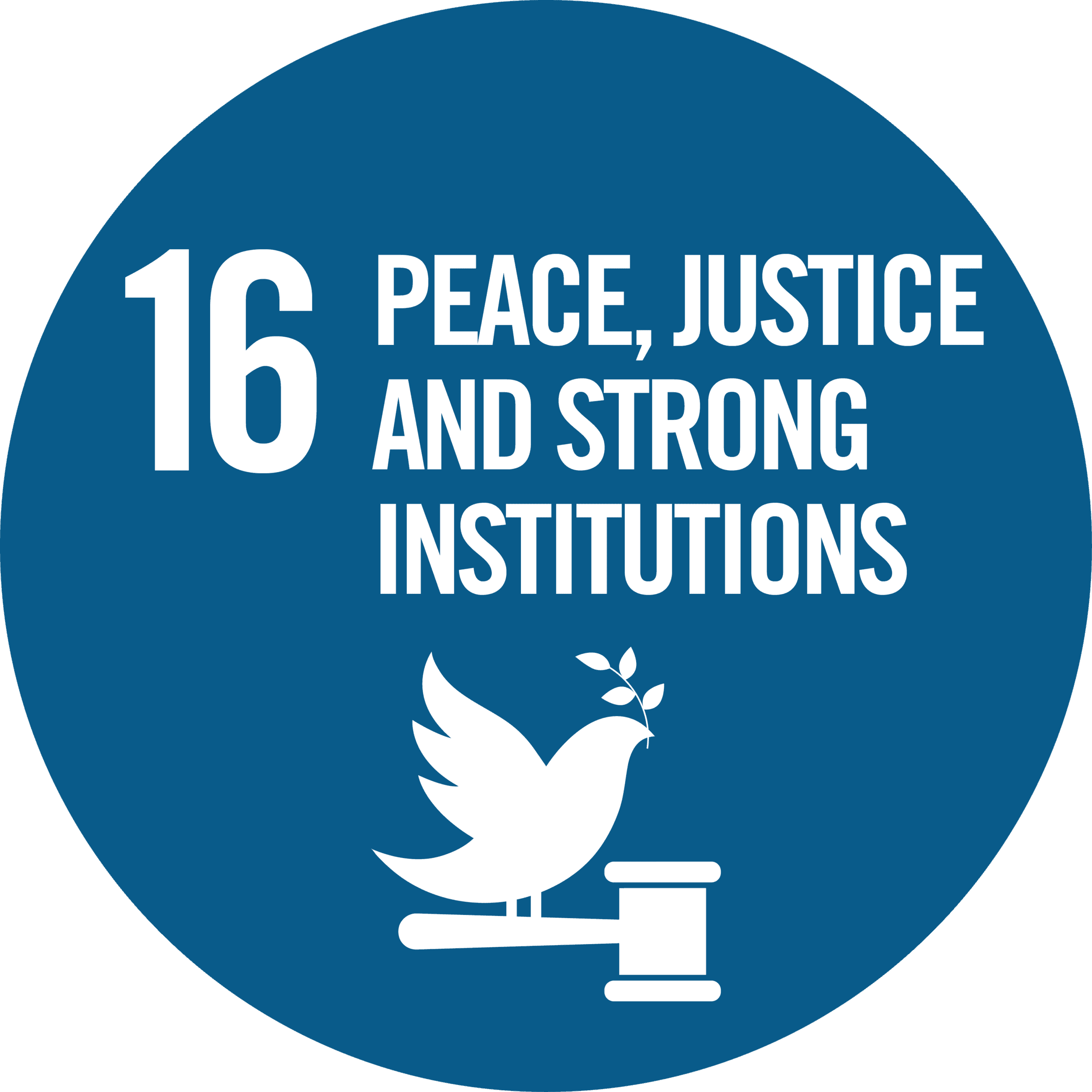 View Waikato regions summary of the regions progress against Sustainable Development Goal 16