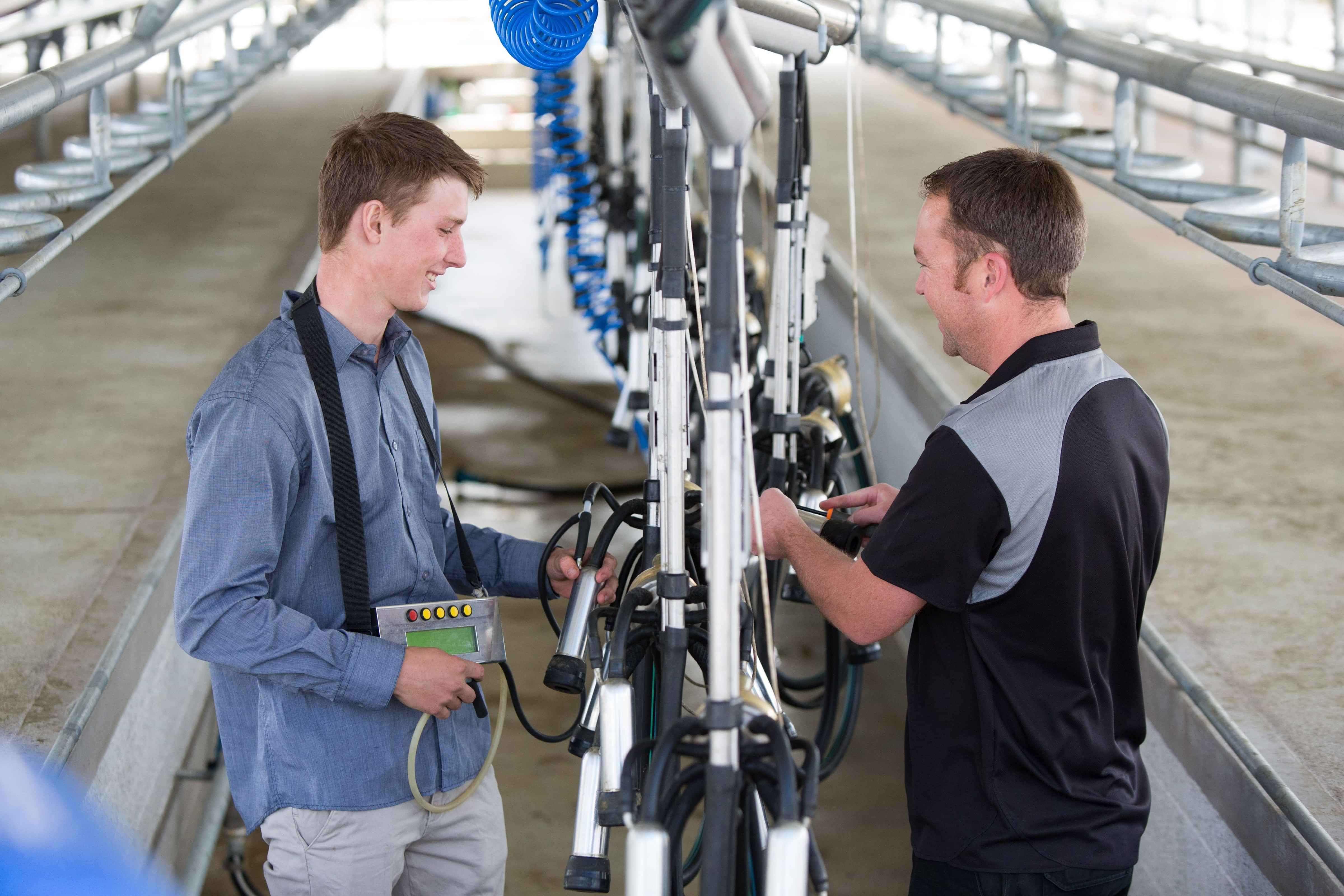 MPNZ tradesperson servicing milking equipment on a NZ dairy farm