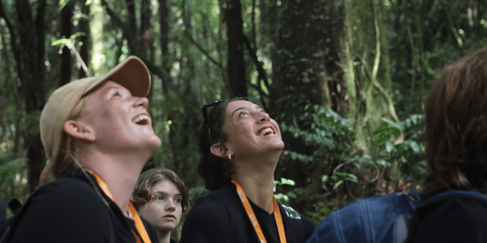 Students learning in the forest
