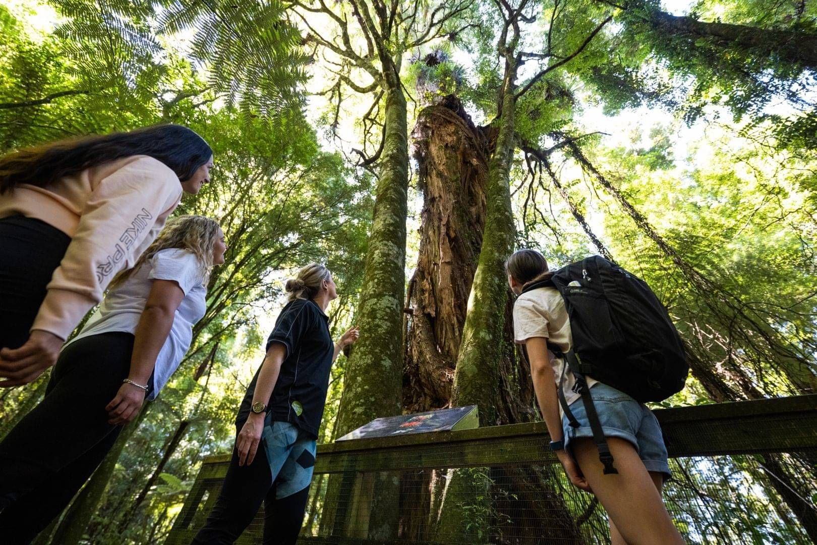 Booking Form - visitors at Sanctuary Mountain
