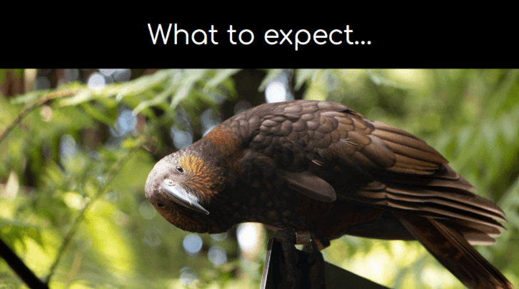 What to expect presentation slides