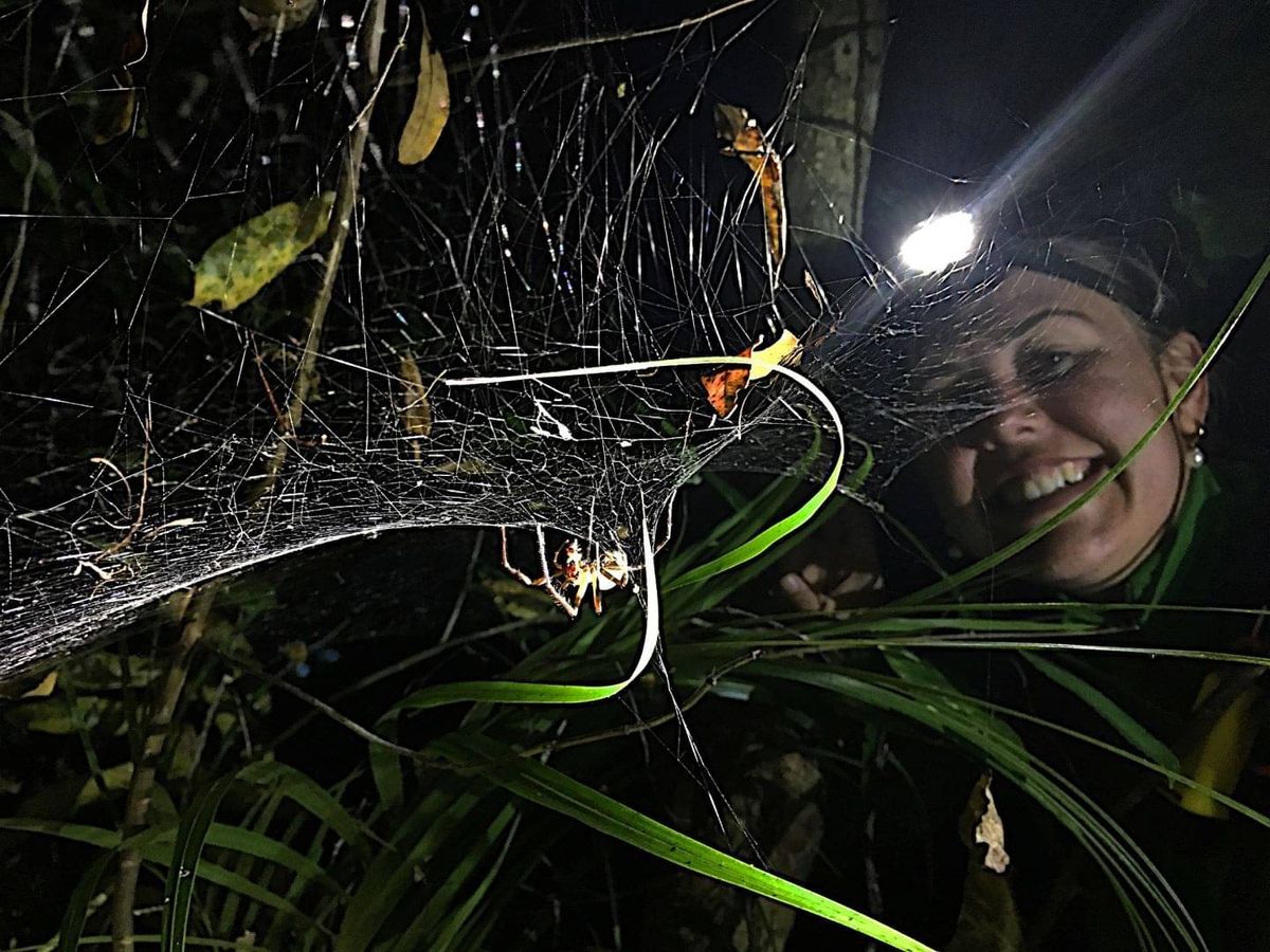 A guide with a head torch lighting up a spider's web on a night walk